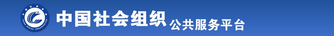 嗯骚大鸡视频全国社会组织信息查询